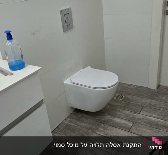 אסלה תלויה, בקבוק סבון, חלון קטן, רצפת עץ
